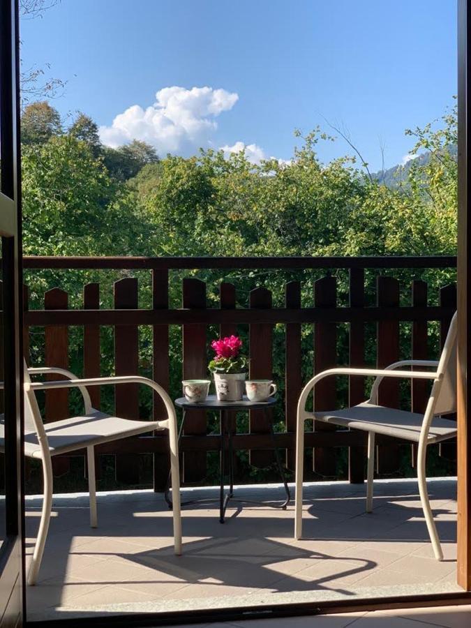 Apartment Orchidea